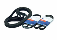 Belt